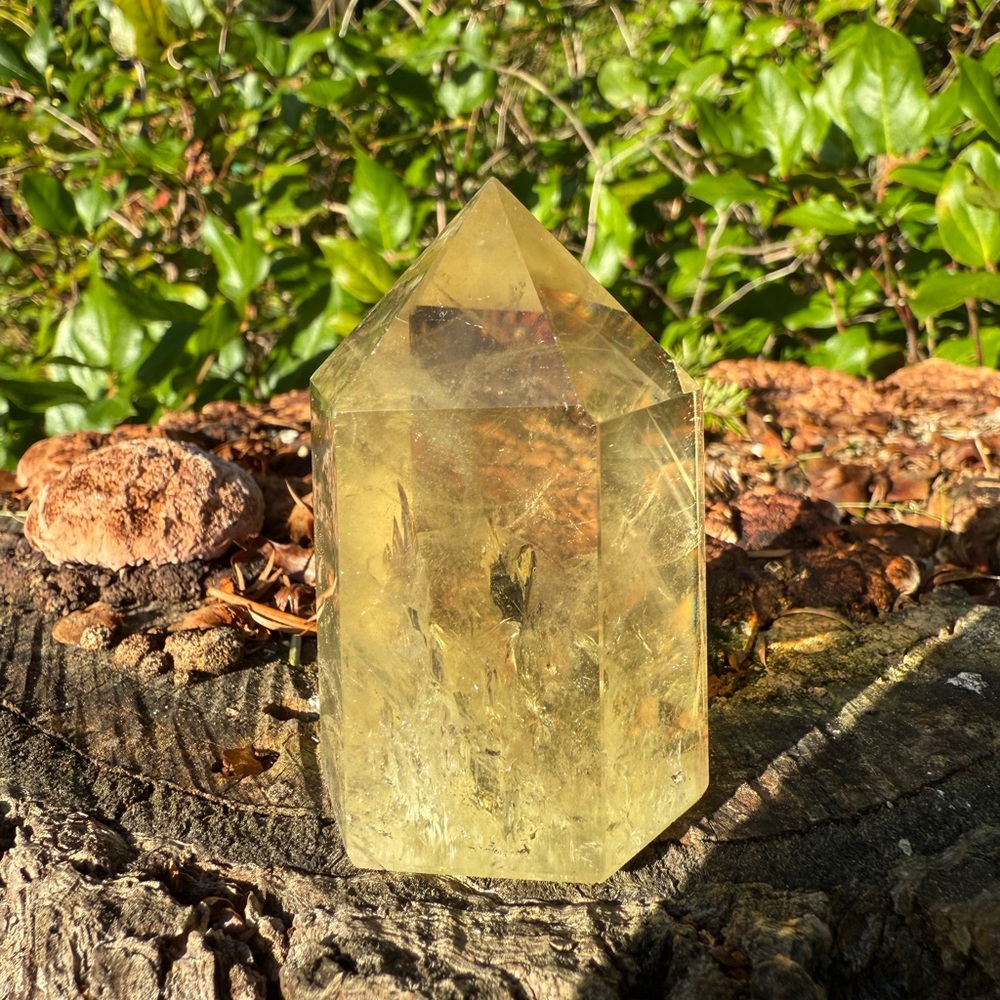 Phantom Smokey citrine quartz - SEE VIDEO!